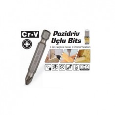 POZİDRİV UÇLU BİTS UC PZ 2*50