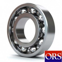 ORS 6006