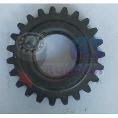 AVARA DİŞLİSİ DAR YANAKLI