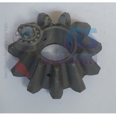 İSTAVROZ DİŞLİSİ