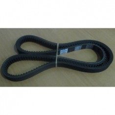 RÜZGARLIK KAYISI CS TC HJ 2320