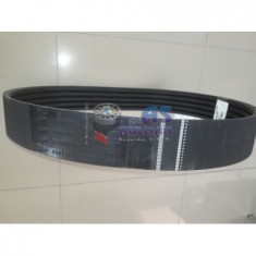 BATOR KAYISI CS SERİSİ 5 H1915