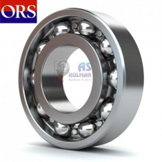 ORS 6219