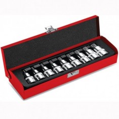 9 PARÇA 1/2 RIBE BİTS LOKMA SETİ