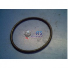 O-HALKA;5;33X85;09 (340)