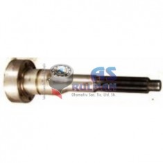 KUYRUK MİLİ SEMENTELİ TASLANMIŞ